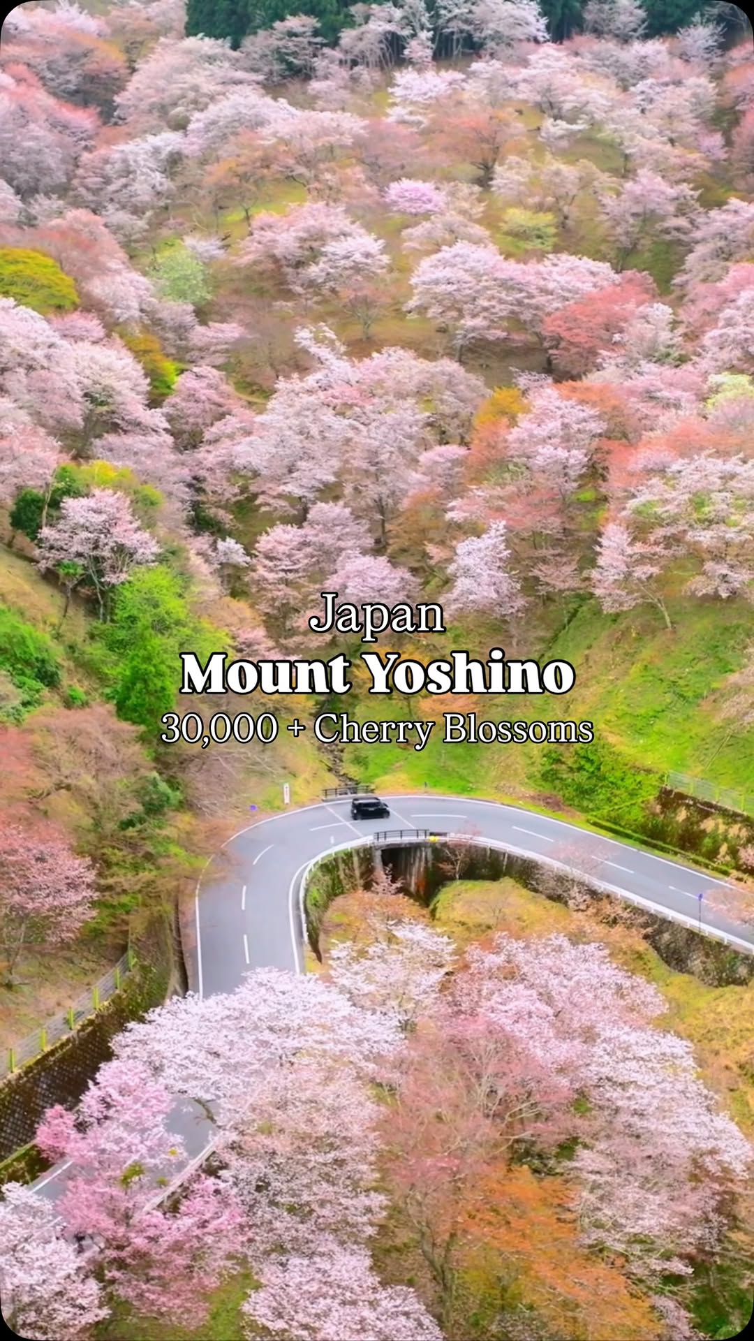 2 Nature spots in Yoshino