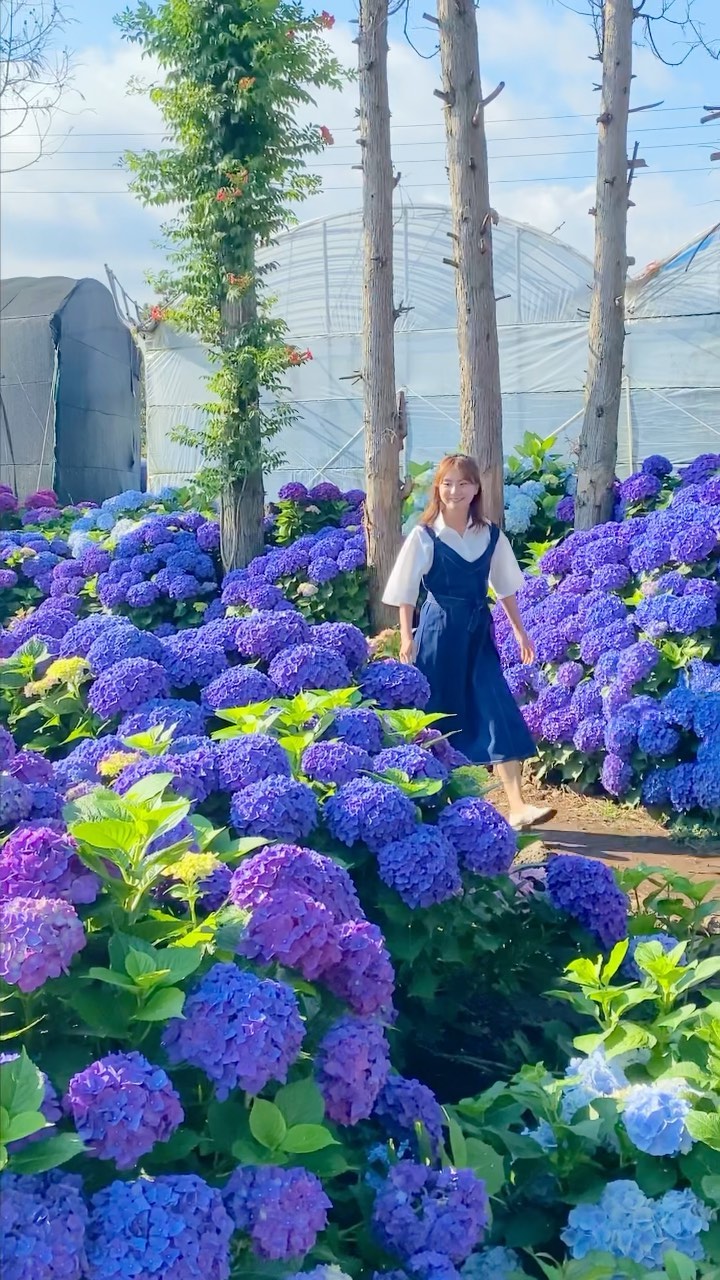 1 Parks in Seogwipo