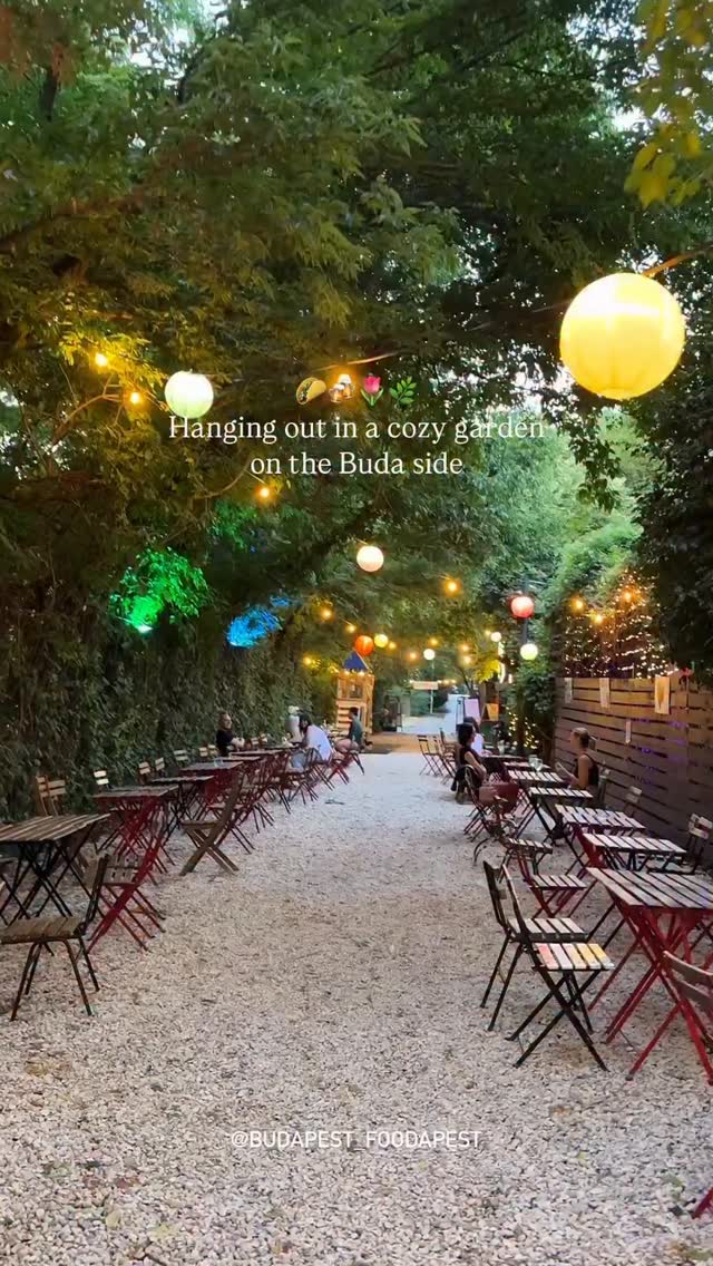 Buda's Cozy, Pet-Friendly Garden Haven