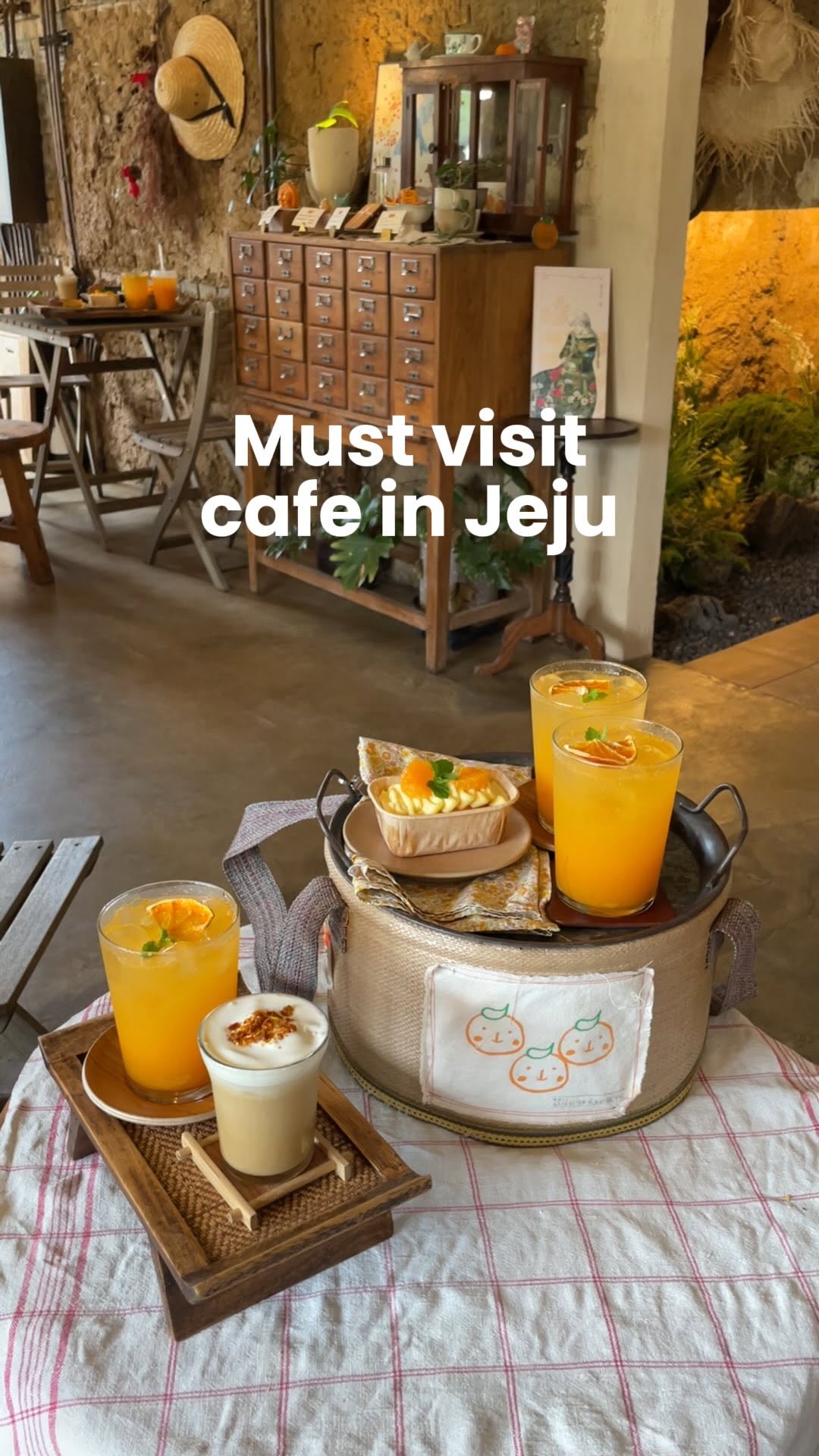 Jeju Island Offers Tangerine Picking Experiences