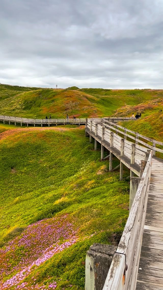 Phillip Island and The Nobbies View Point