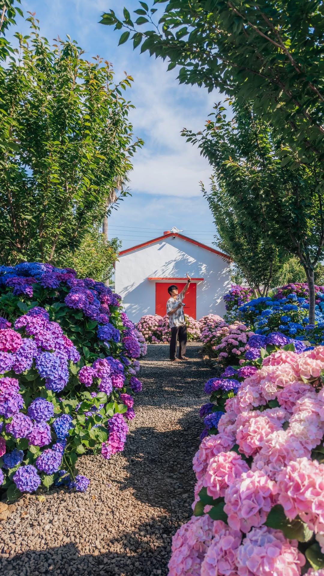 1 Parks in Seogwipo