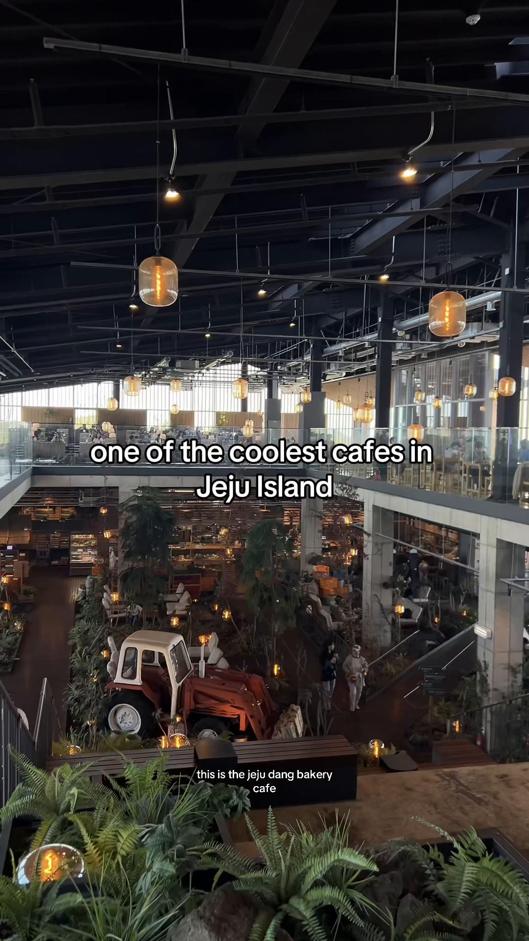 Jejudang Bakery Café: Delicious Pasta and Great Vibes