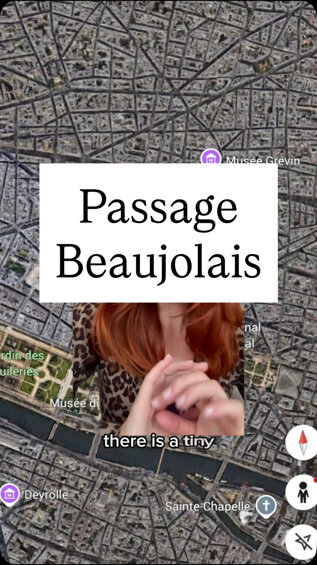 Parisian Passages And Palace Gardens