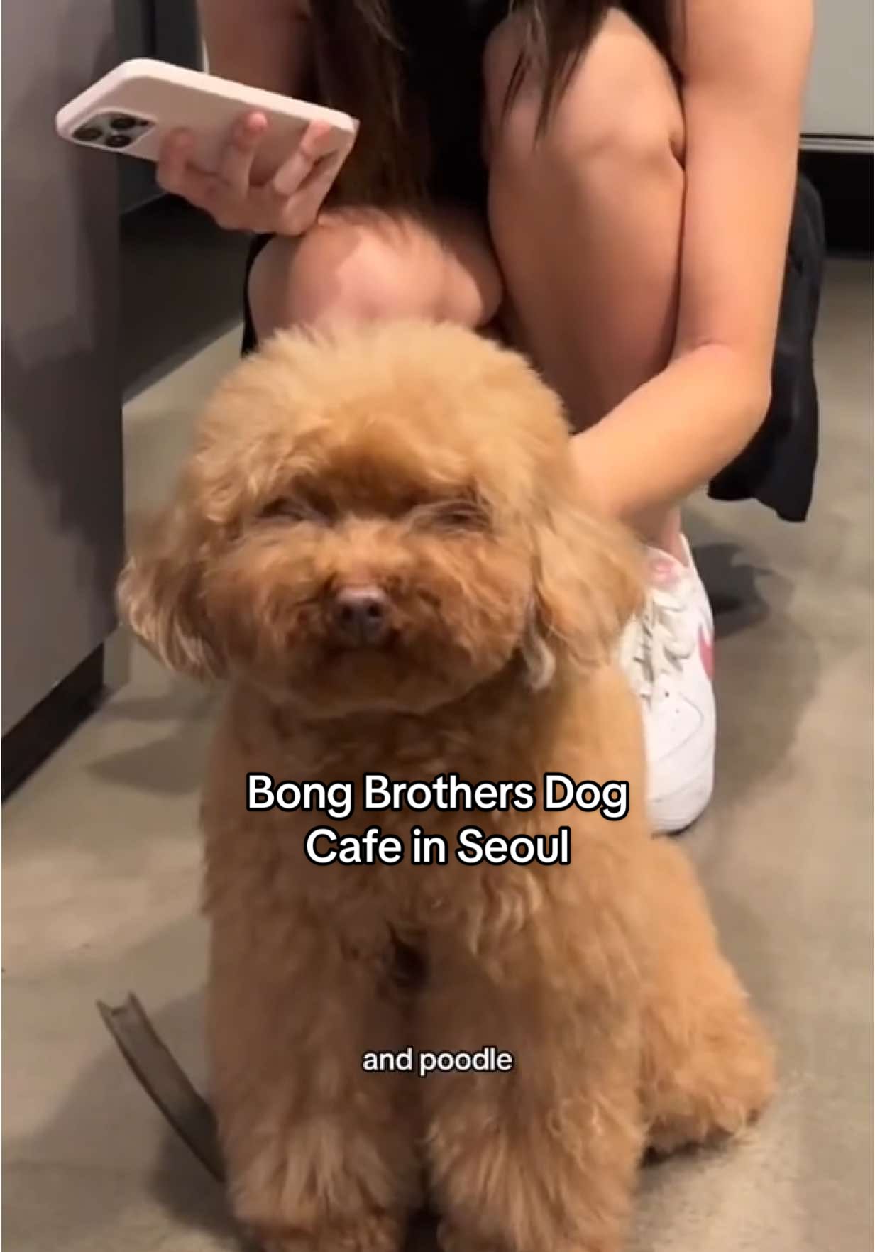 1 Cafes in 서울특별시