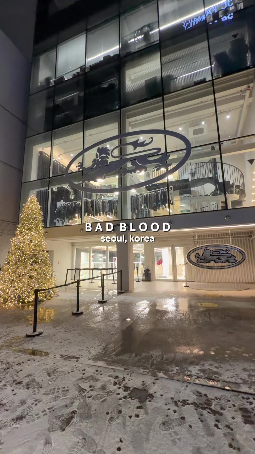 Badblood: A Korean Sweatpant Brand
