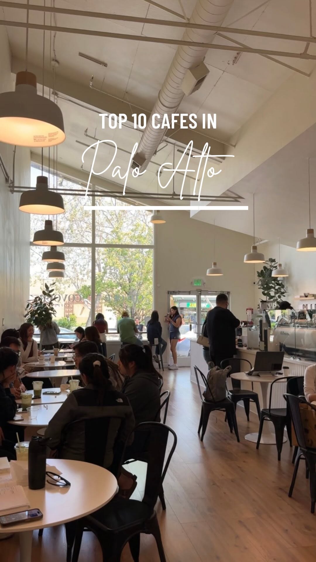 10 Cafes in Palo Alto