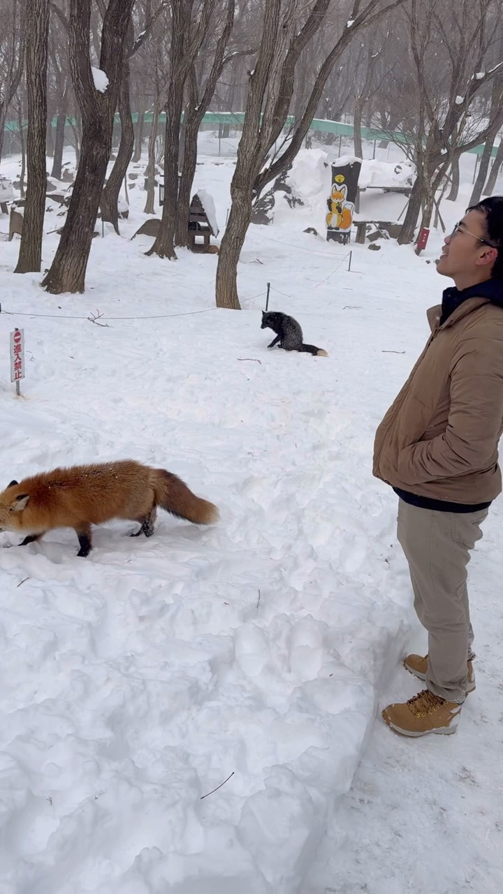 2 Attractions in Shiroishi