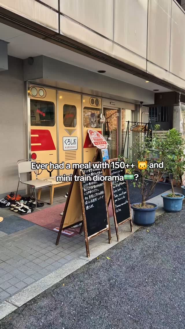 Osaka Cat Cafe Supports Rescued Felines