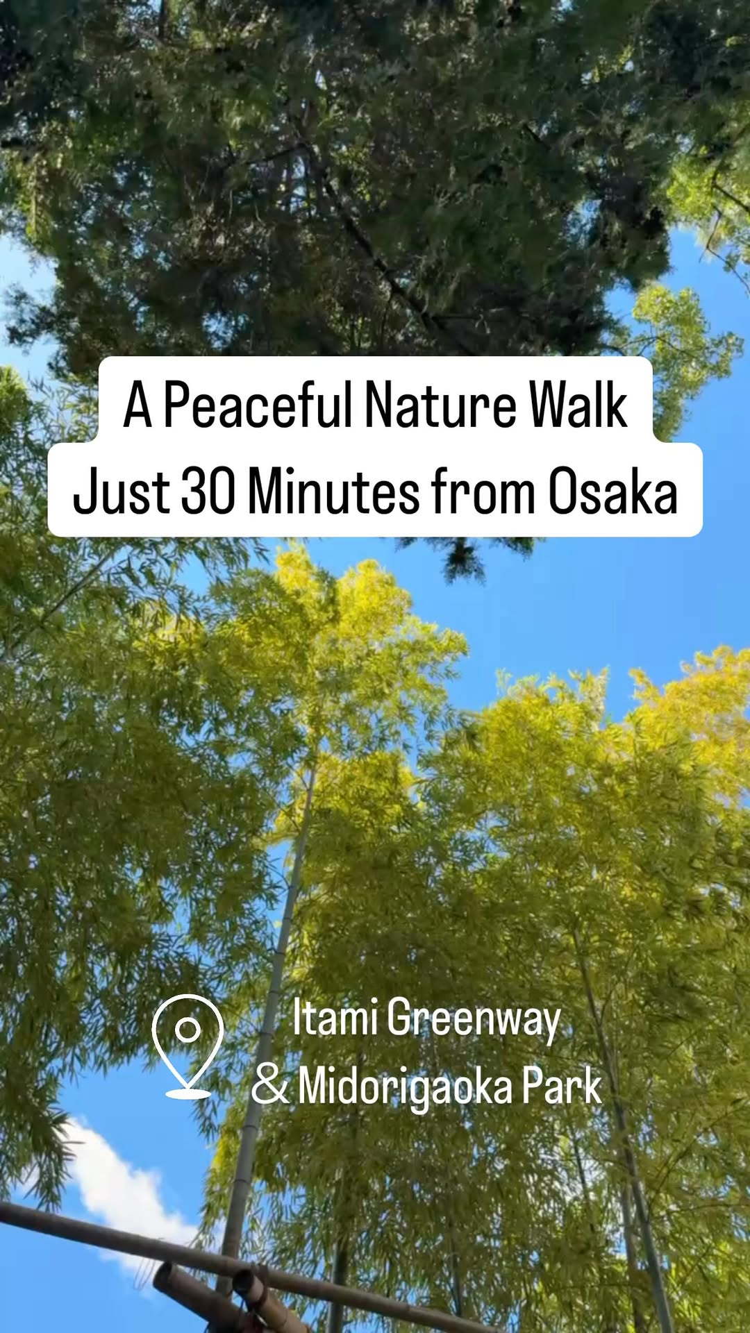 5 Parks in Itami