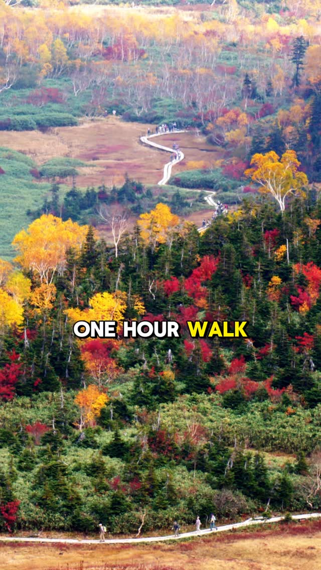 4 Attractions in Hakuba