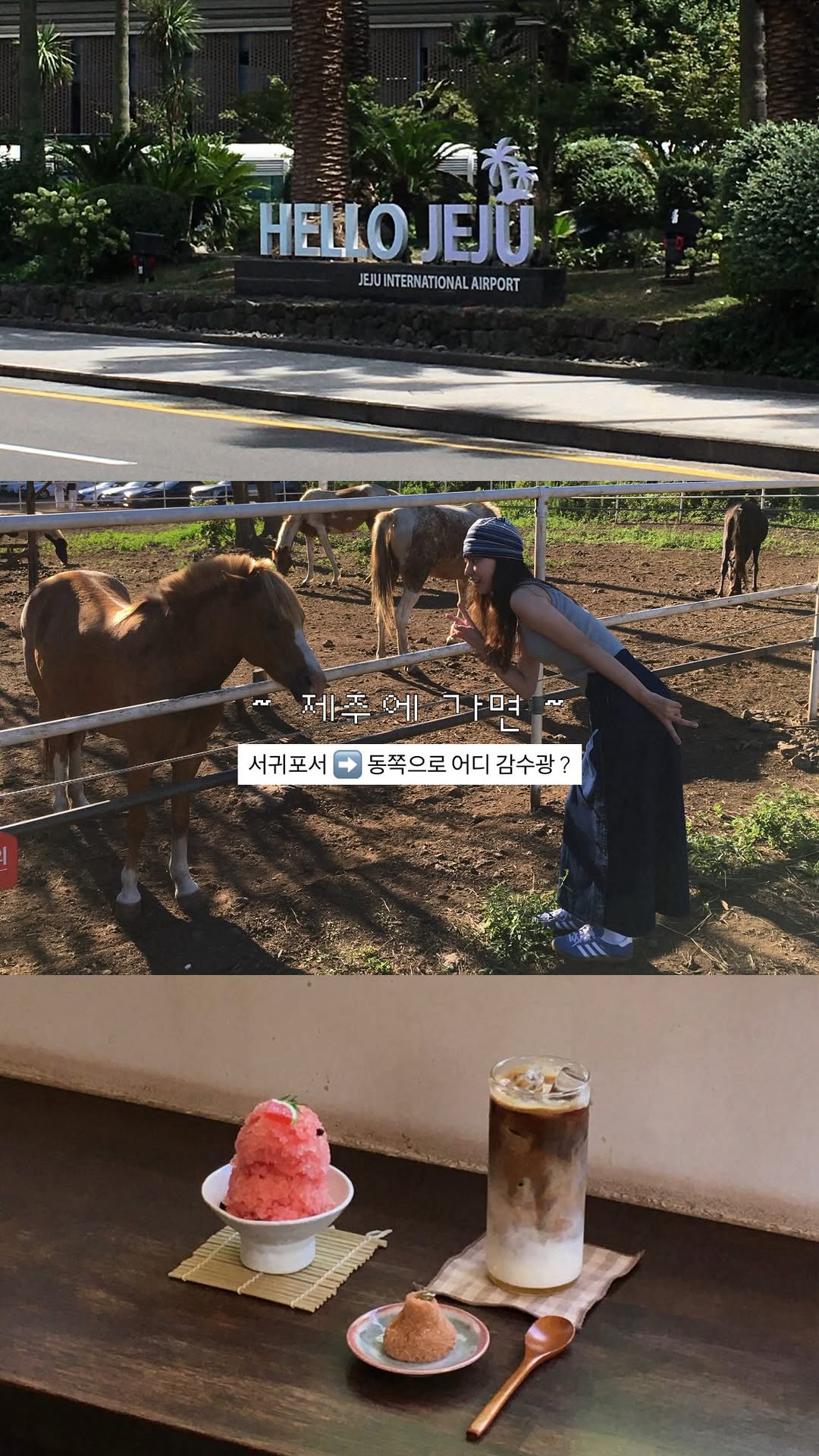 Jeju Island's Diverse Food and Nature Spots