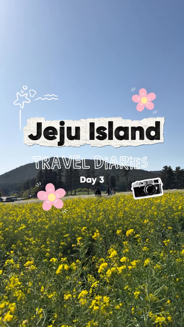 2 Cafes in Jeju-do