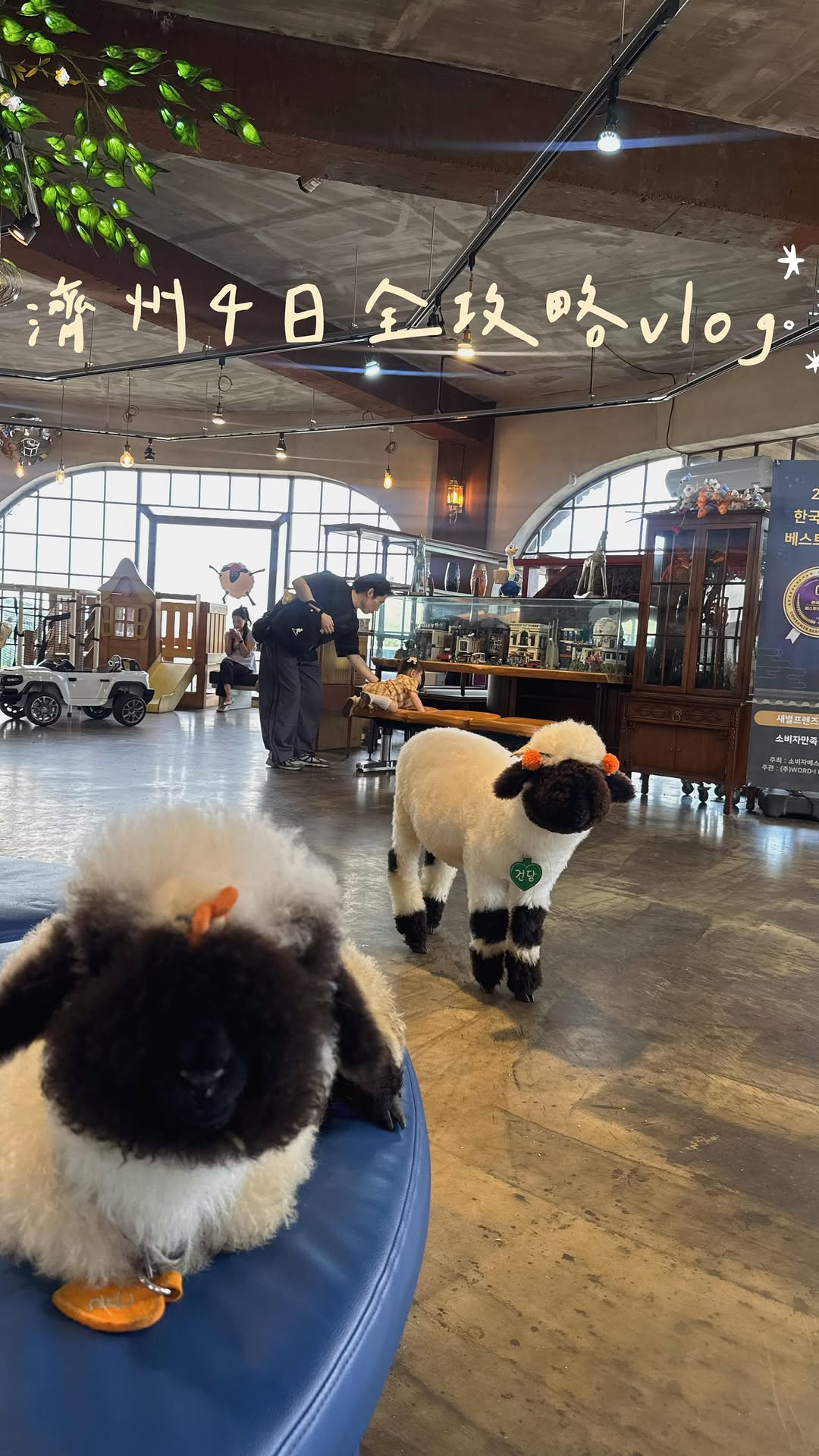16 Cafes in Cheju