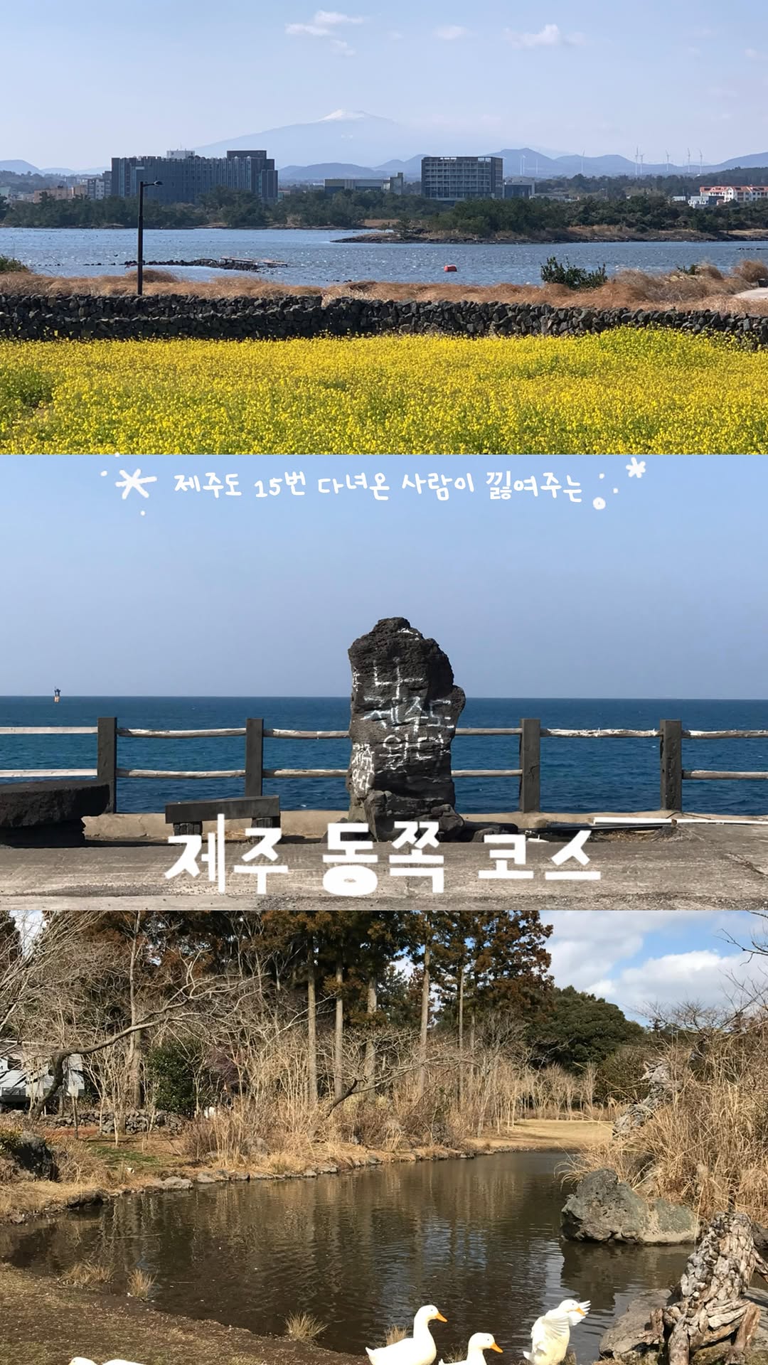Jeju Island's Must-Visit Spots