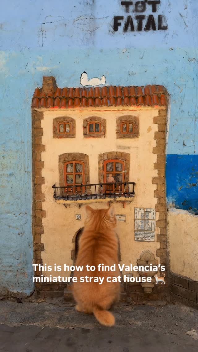 Valencia's Tiny Cat House In El Carmen