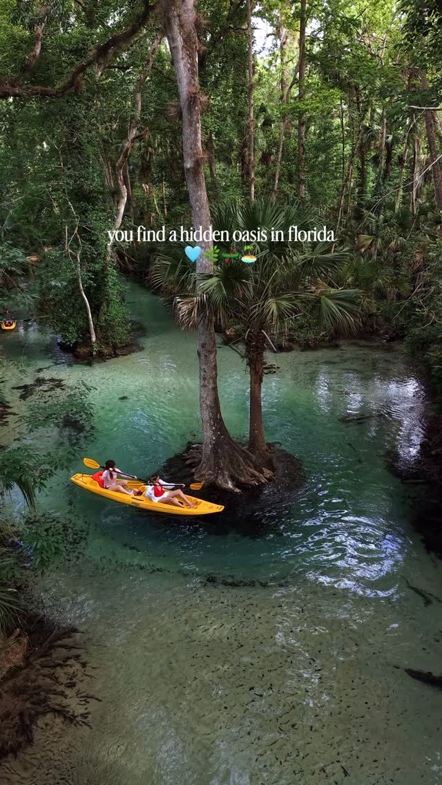 Florida Springs with Emerald Waters