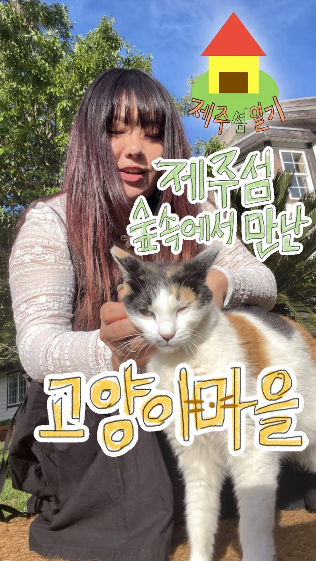 Jeju Meow Cat Cafe