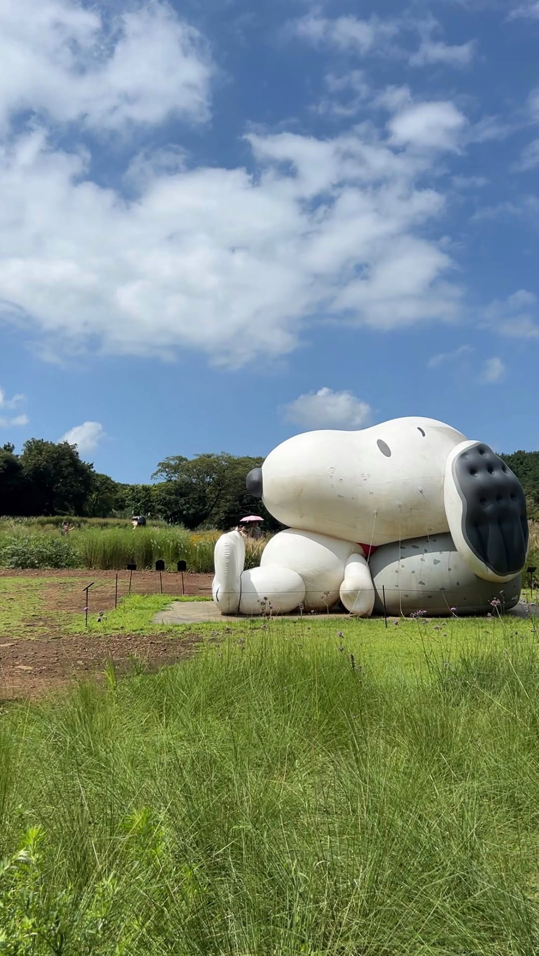 Snoopy's Themed Garden And Cafe