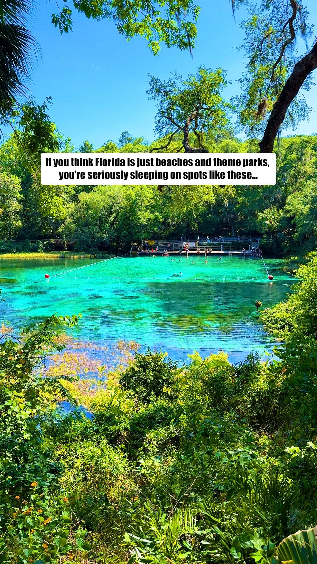 Ocala's Springs and Adventure Parks