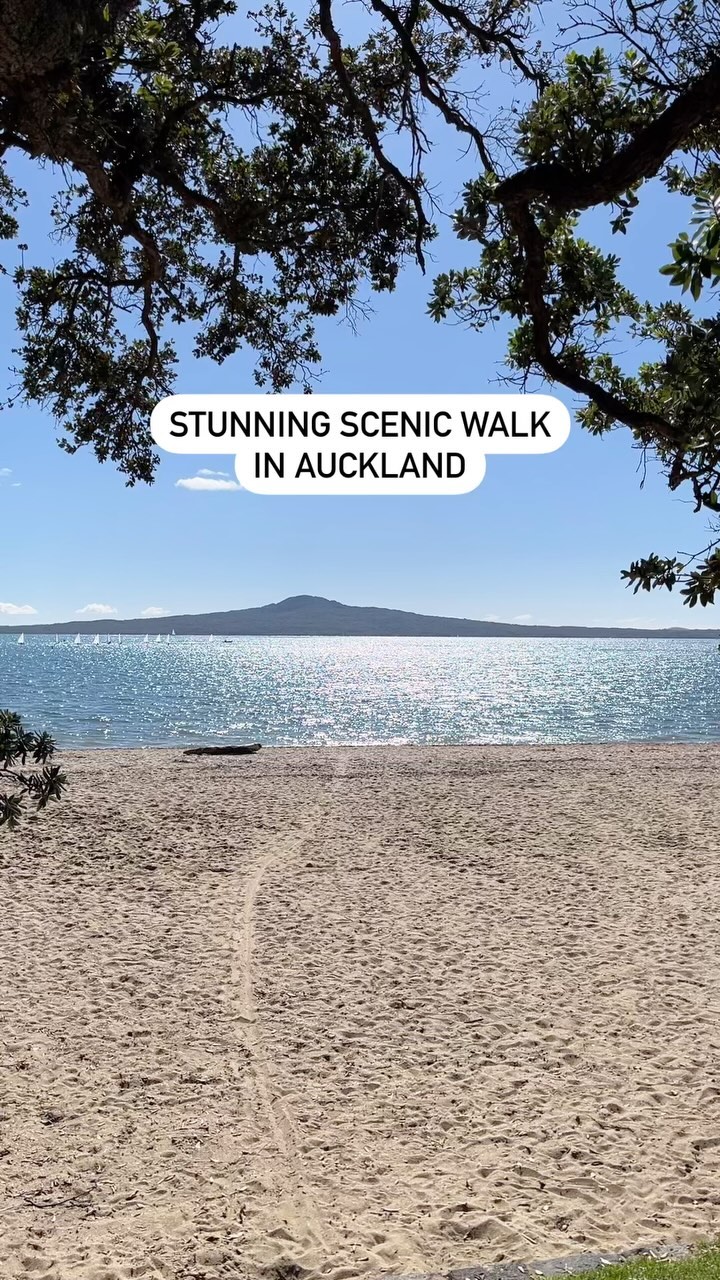 7 Places in Auckland