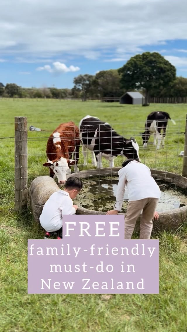 Ambury Regional Park: Free Family Farm Fun