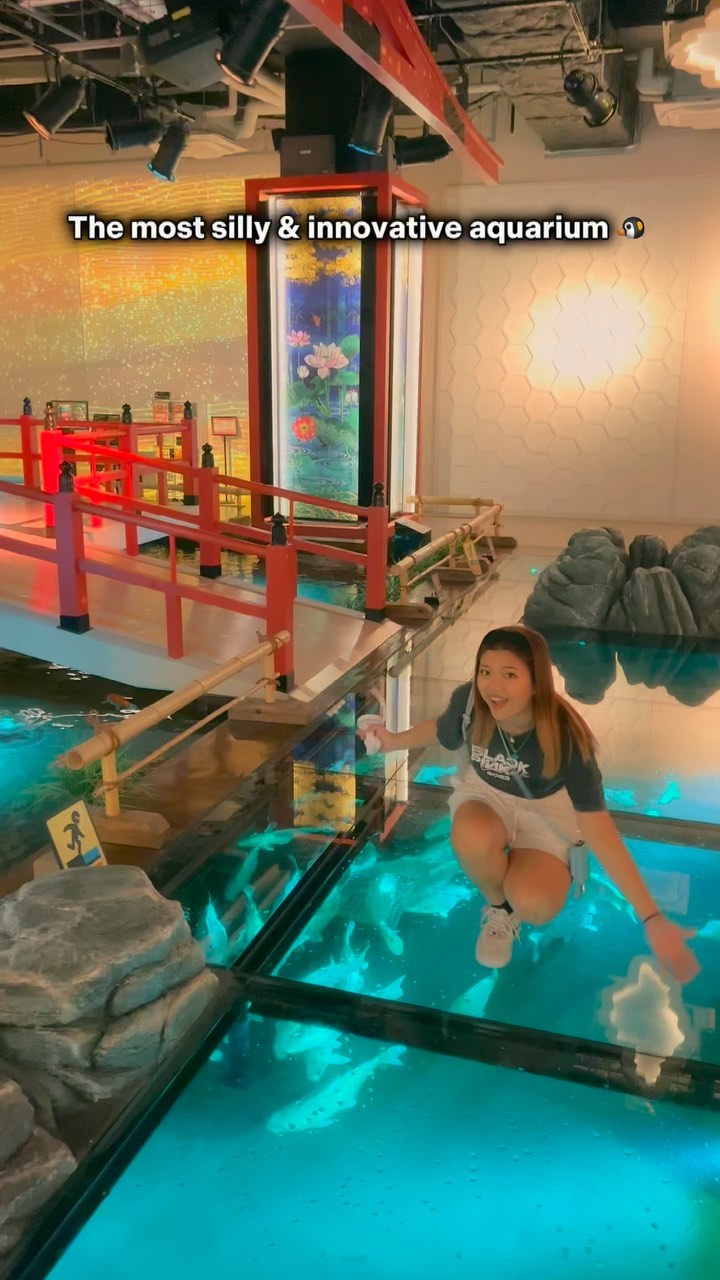 Átoa Aquarium Features Koi, Penguins, and Projections