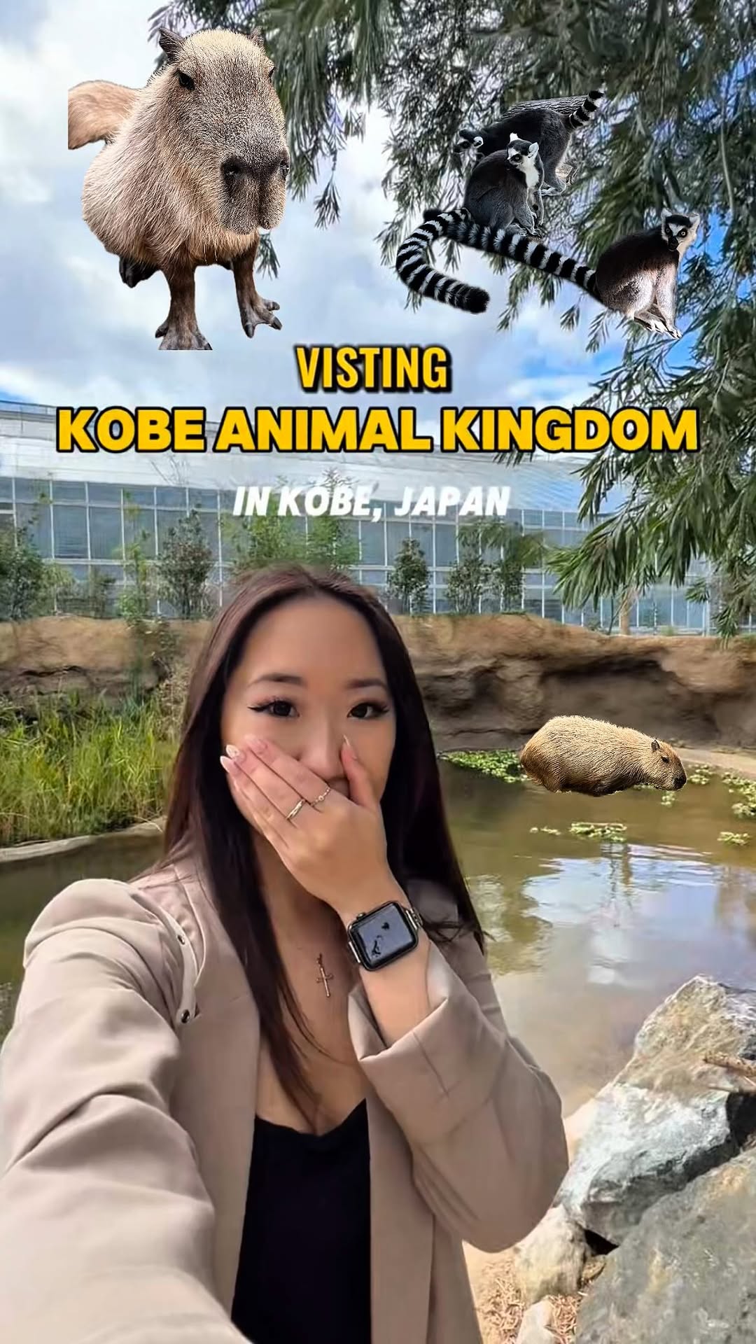 Kobe Animal Kingdom Offers Animal Interaction
