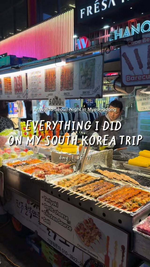 Seoul's Myeongdong: Airport to Hotels and Food