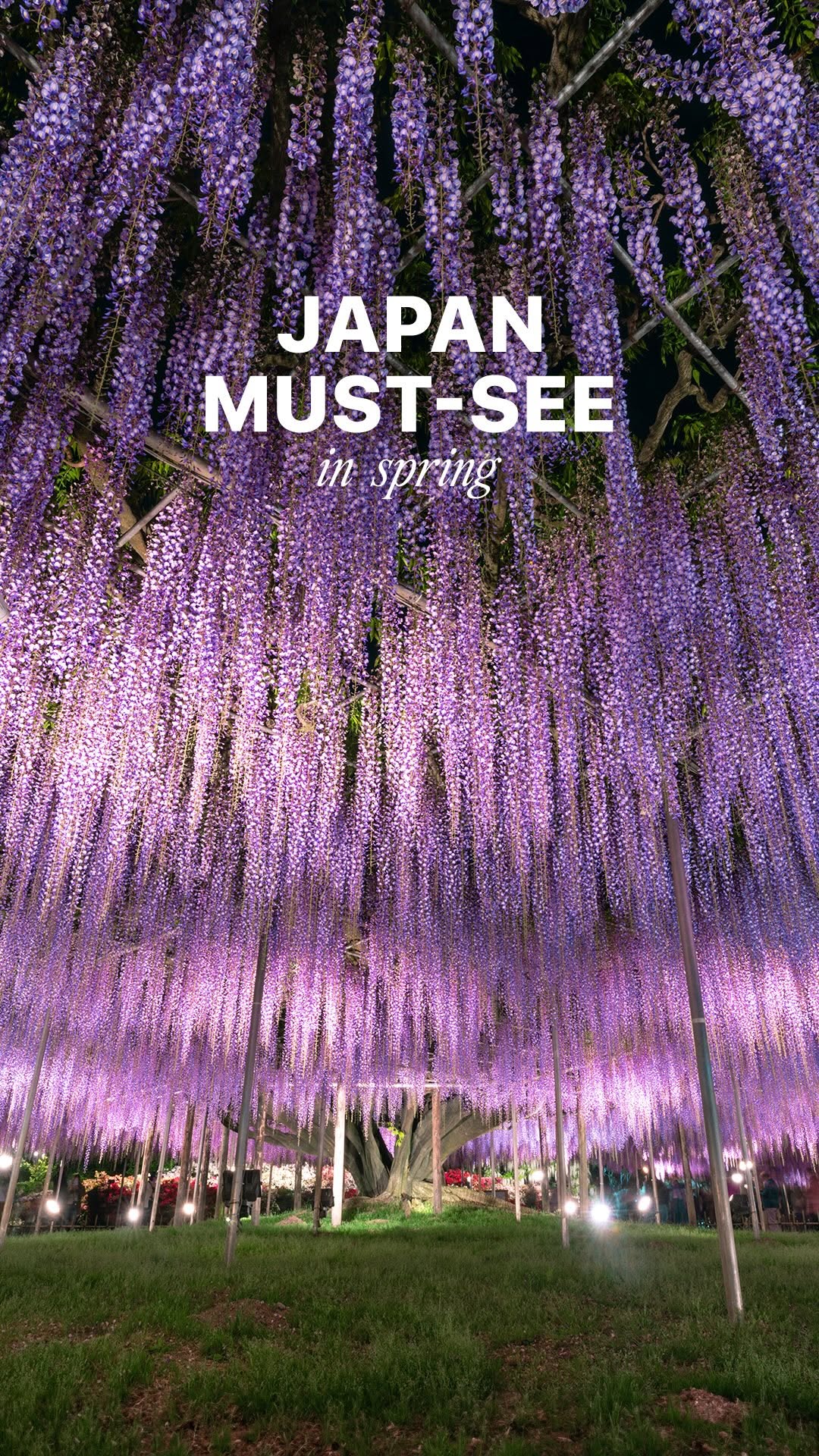 3 Attractions in Ashikaga