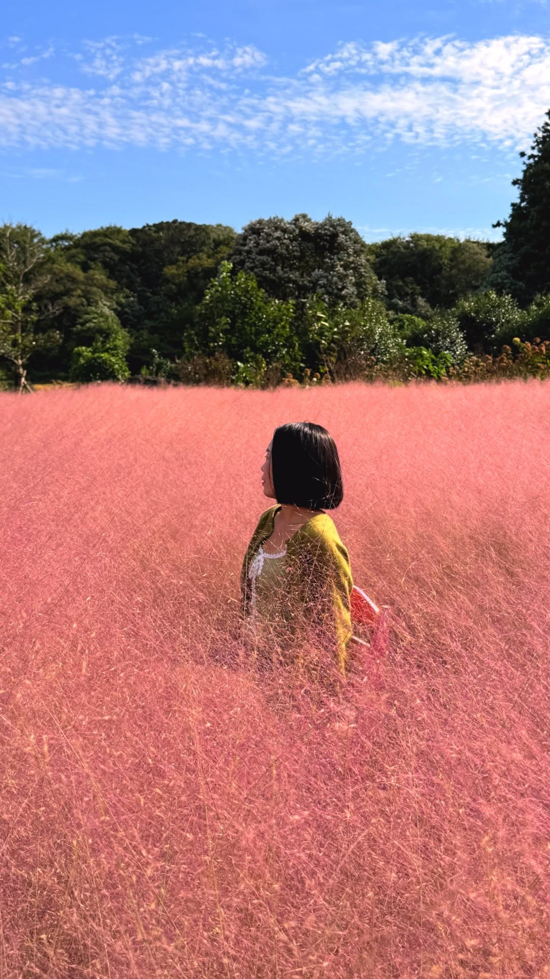Seogwangri 123 Garden: A Private Pink Muhly Spot