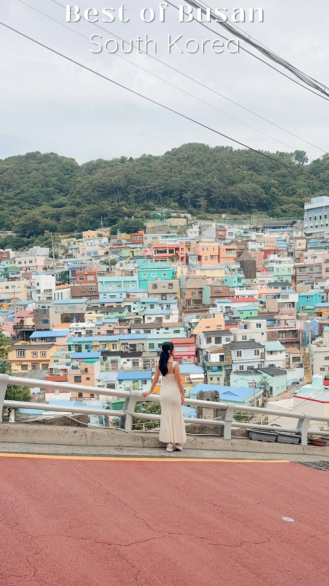 Explore Busan's Cultural Villages and Coastal Sights