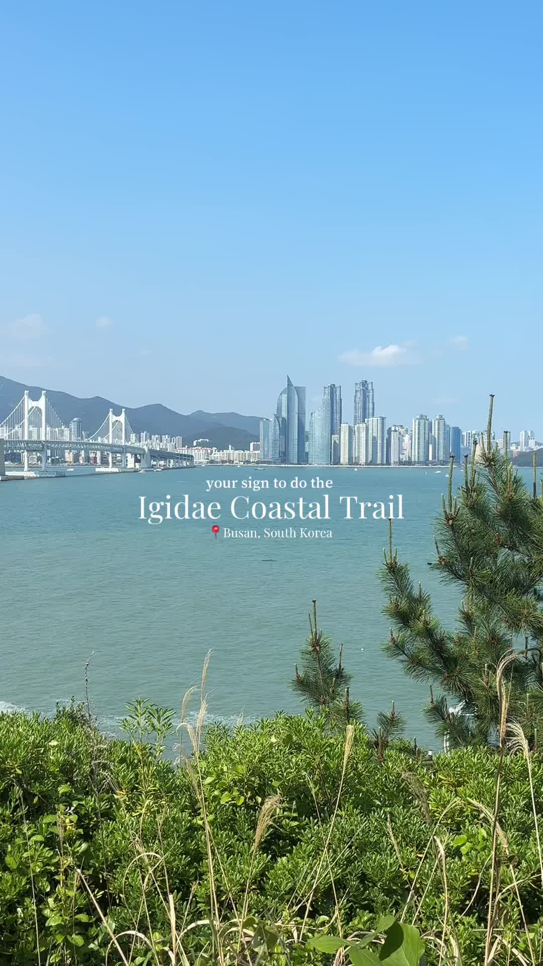 Igidae Coastal Trail: Busan's Scenic Summer Hike