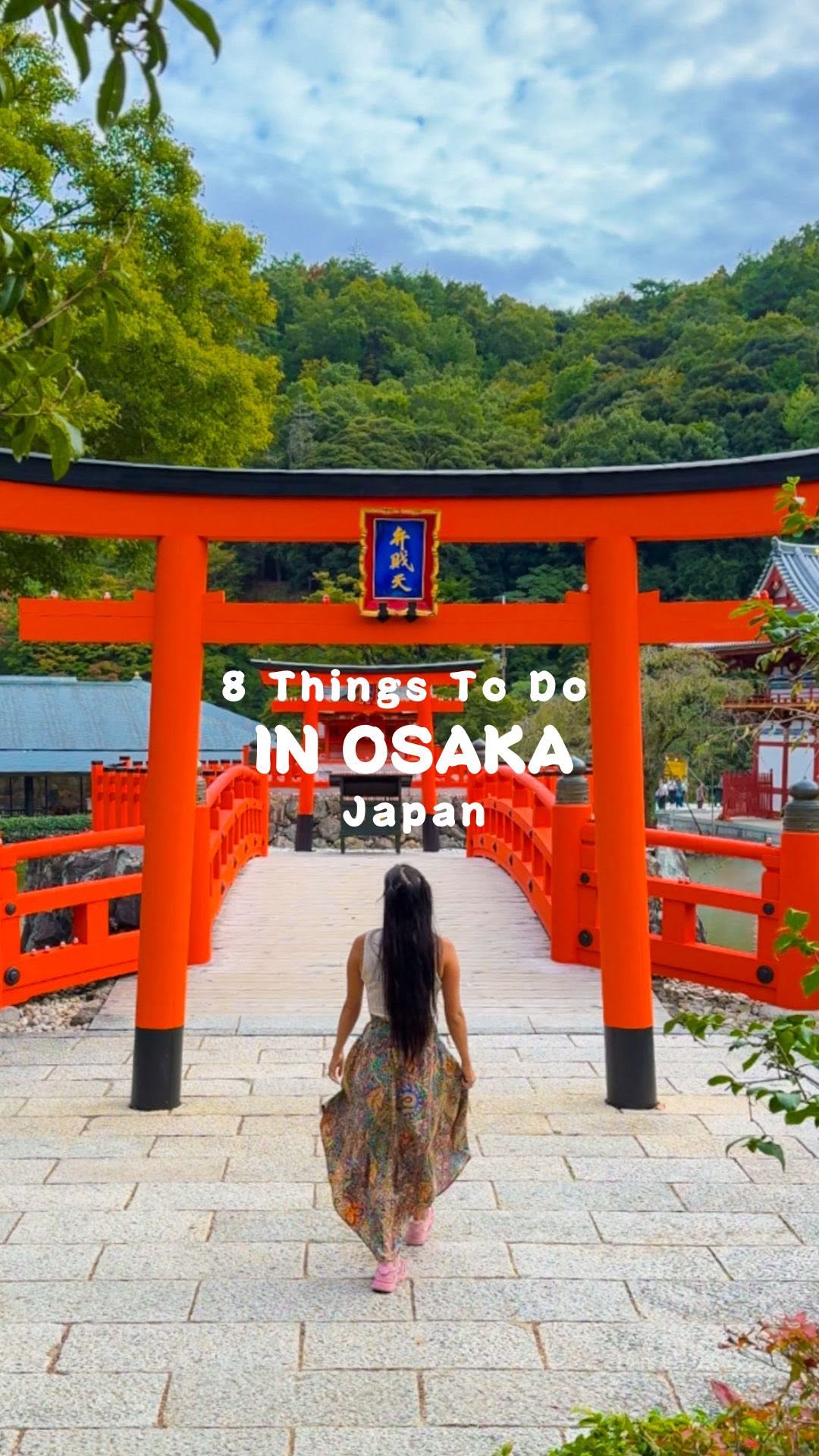 Osaka's Historic Sites and Vibrant Districts
