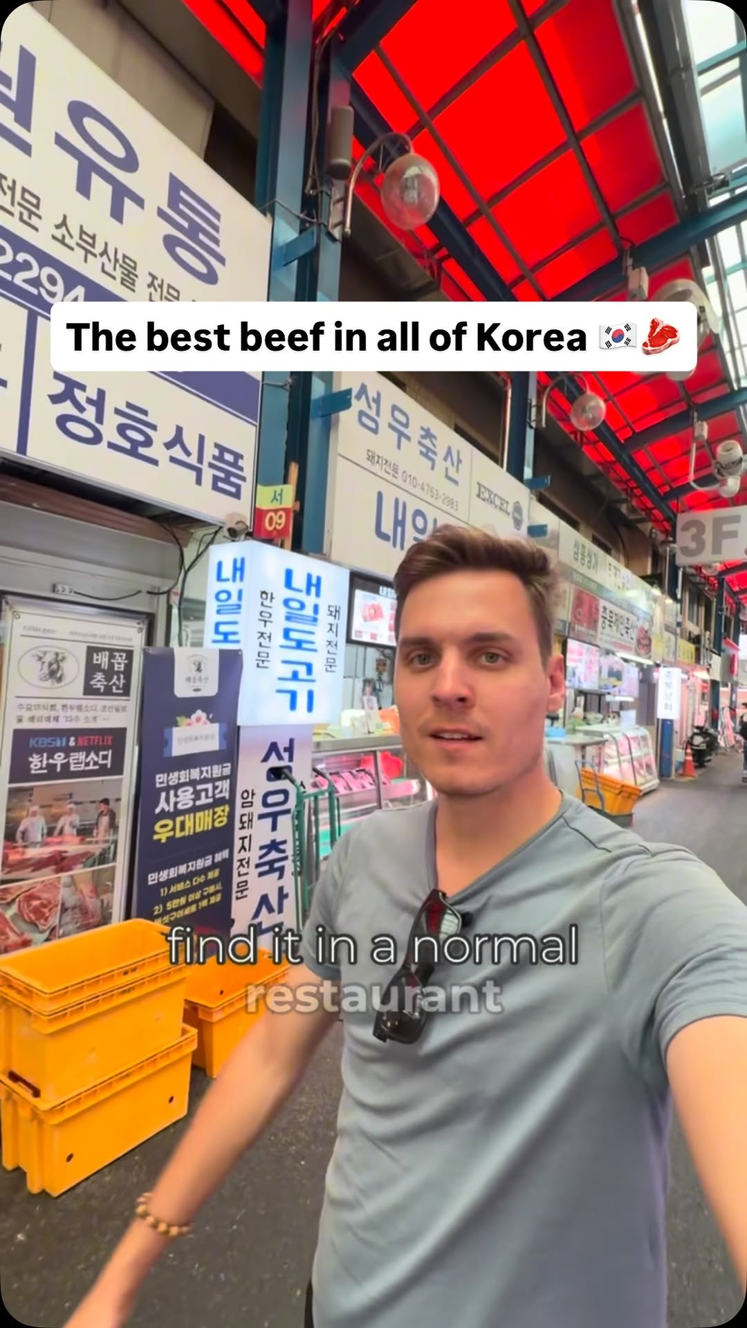 Seoul's Majang Meat Market: A Beef Lover's Paradise