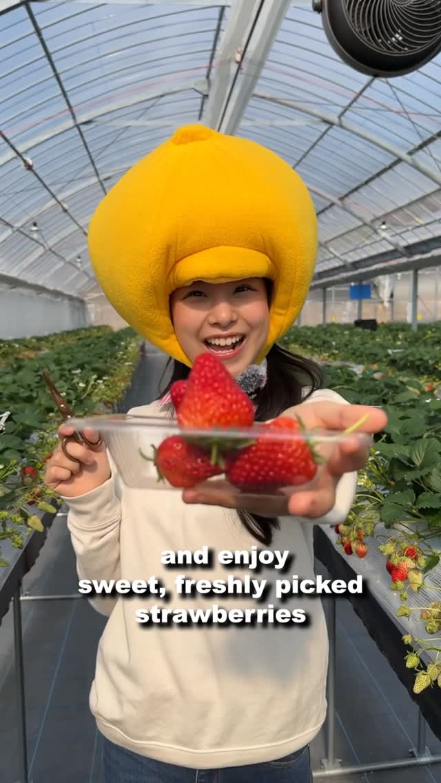 Awaji Island: Sake, Strawberries, and Seaside Onsen