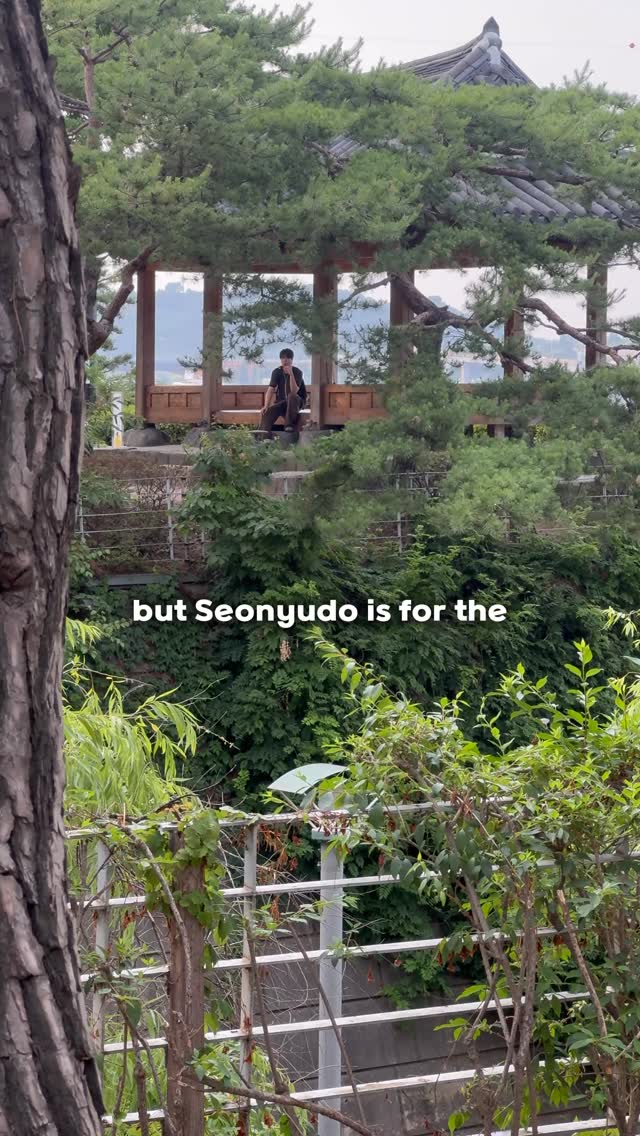 Seonyudo Park: Seoul's Hidden Botanical Island Escape