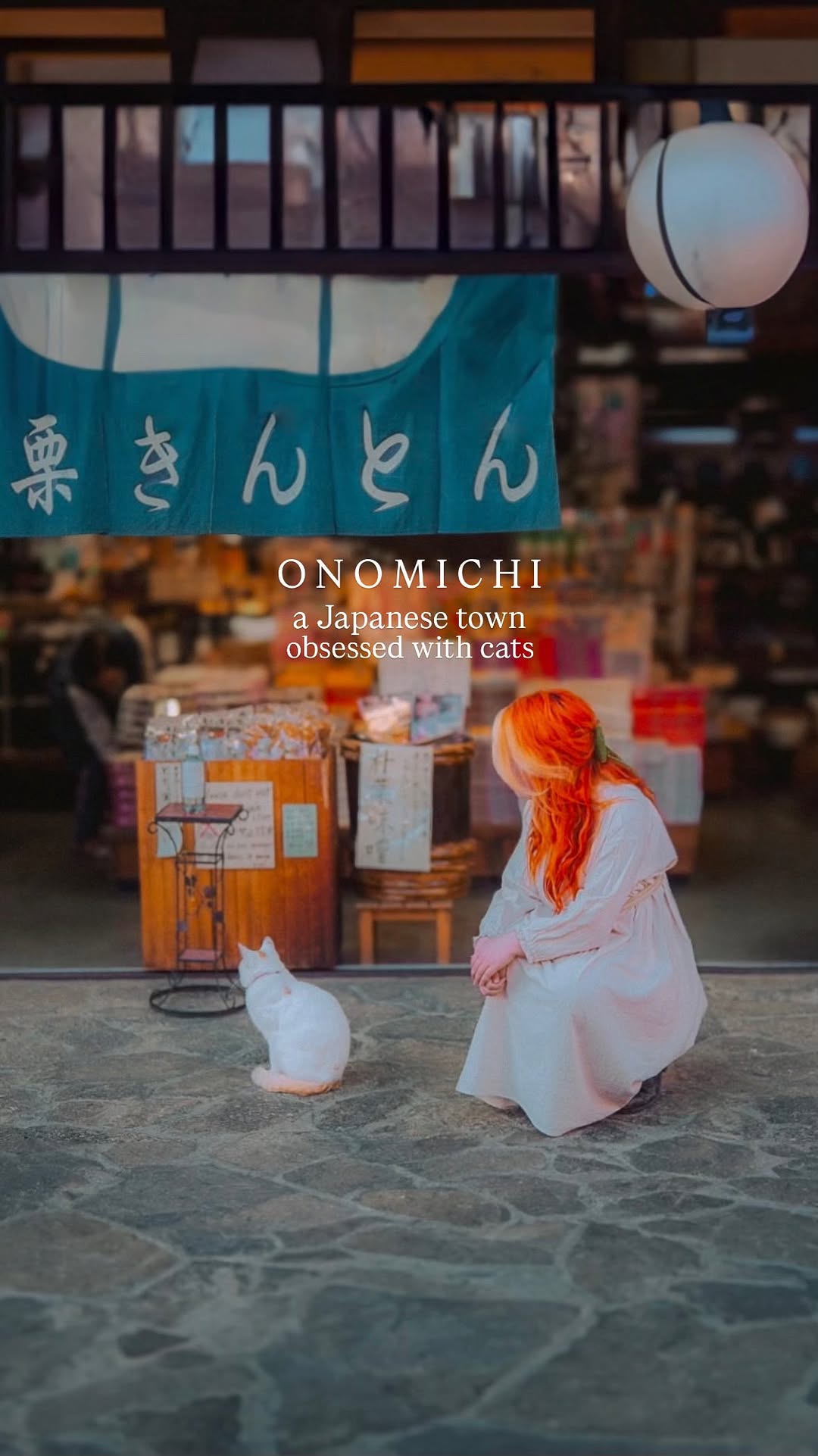 2 Landmarks in Onomichi