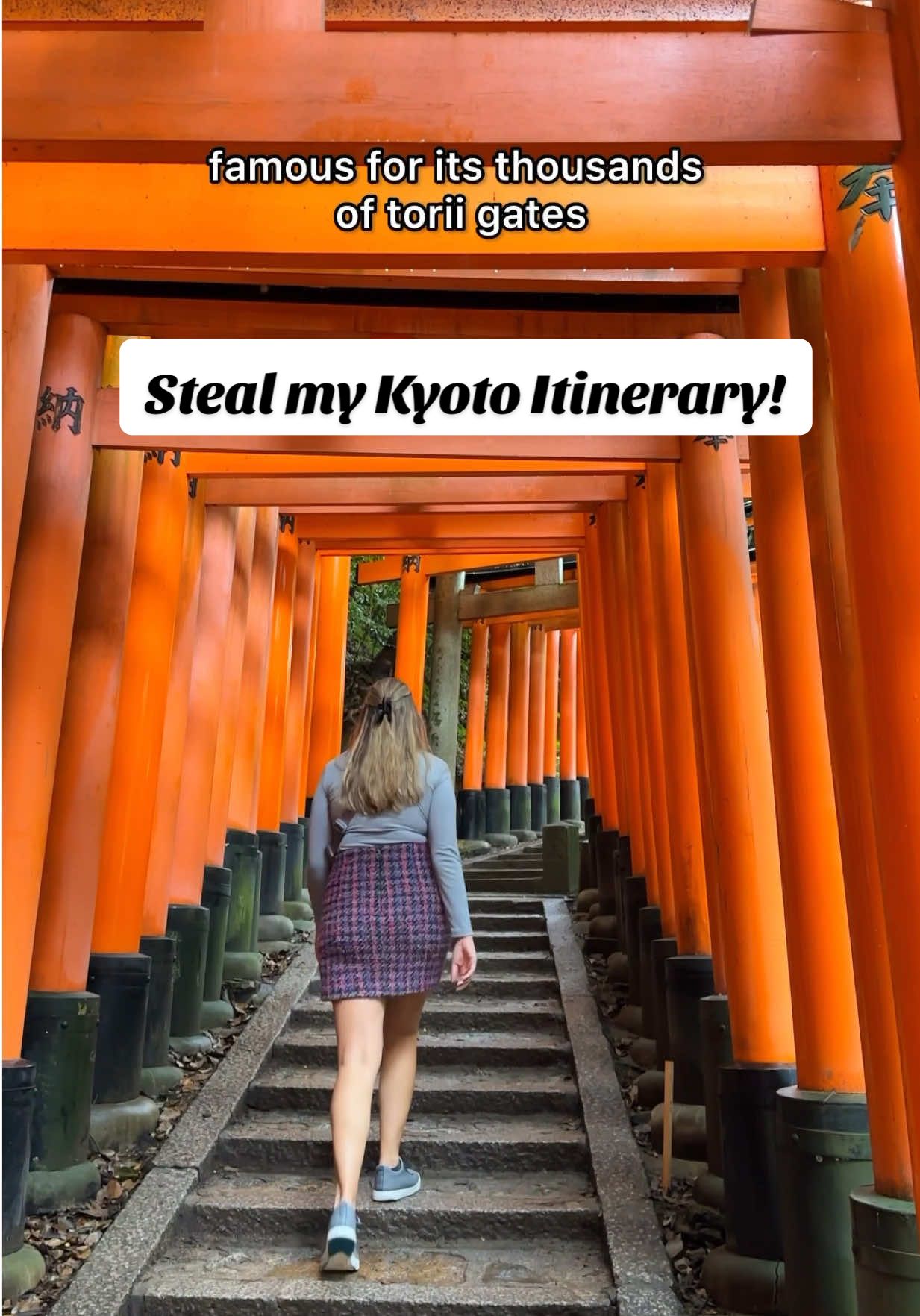 Kyoto's Top Landmarks and Local Eats