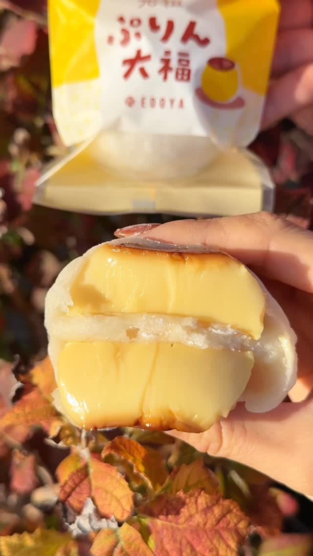 Sweet Treats in Himeji and Yobe