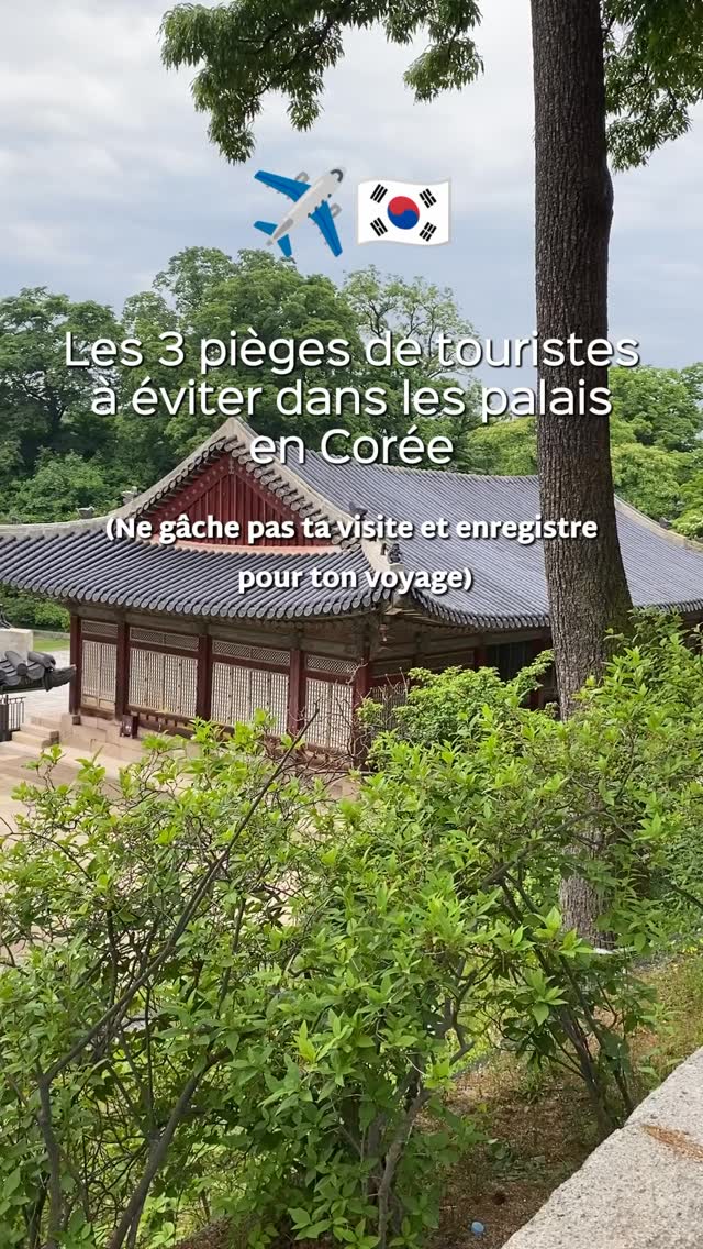 Korean Palaces: Tips for an Enhanced Visit