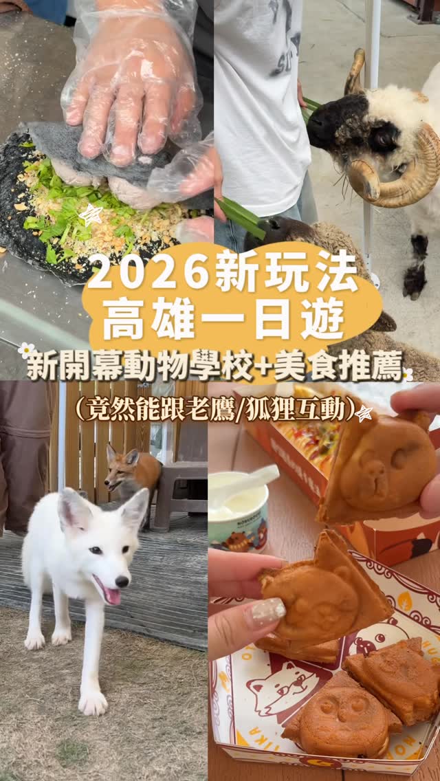 Kaohsiung's New Animal School and Old Street Eats