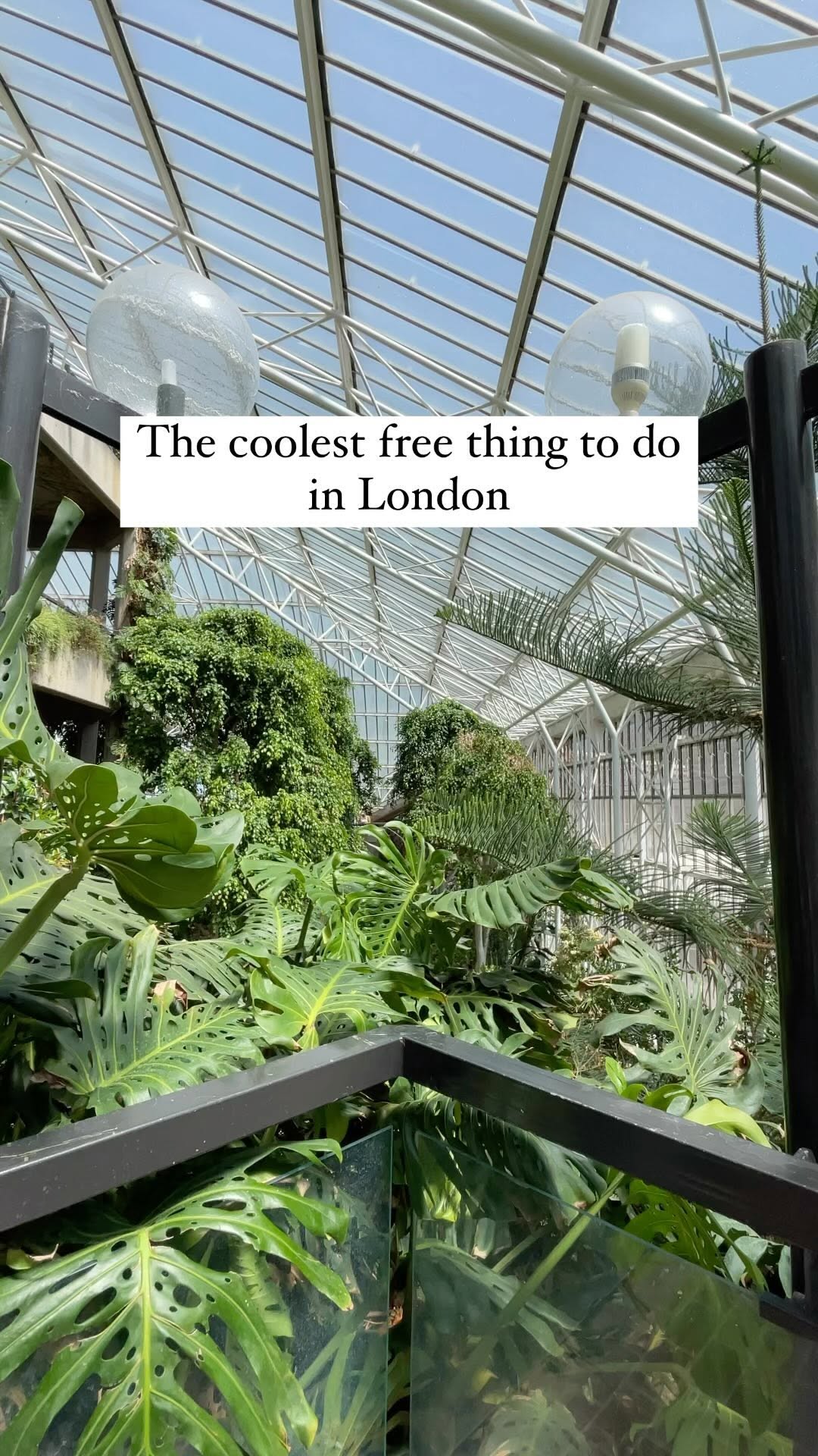 London's Free Tropical Oasis