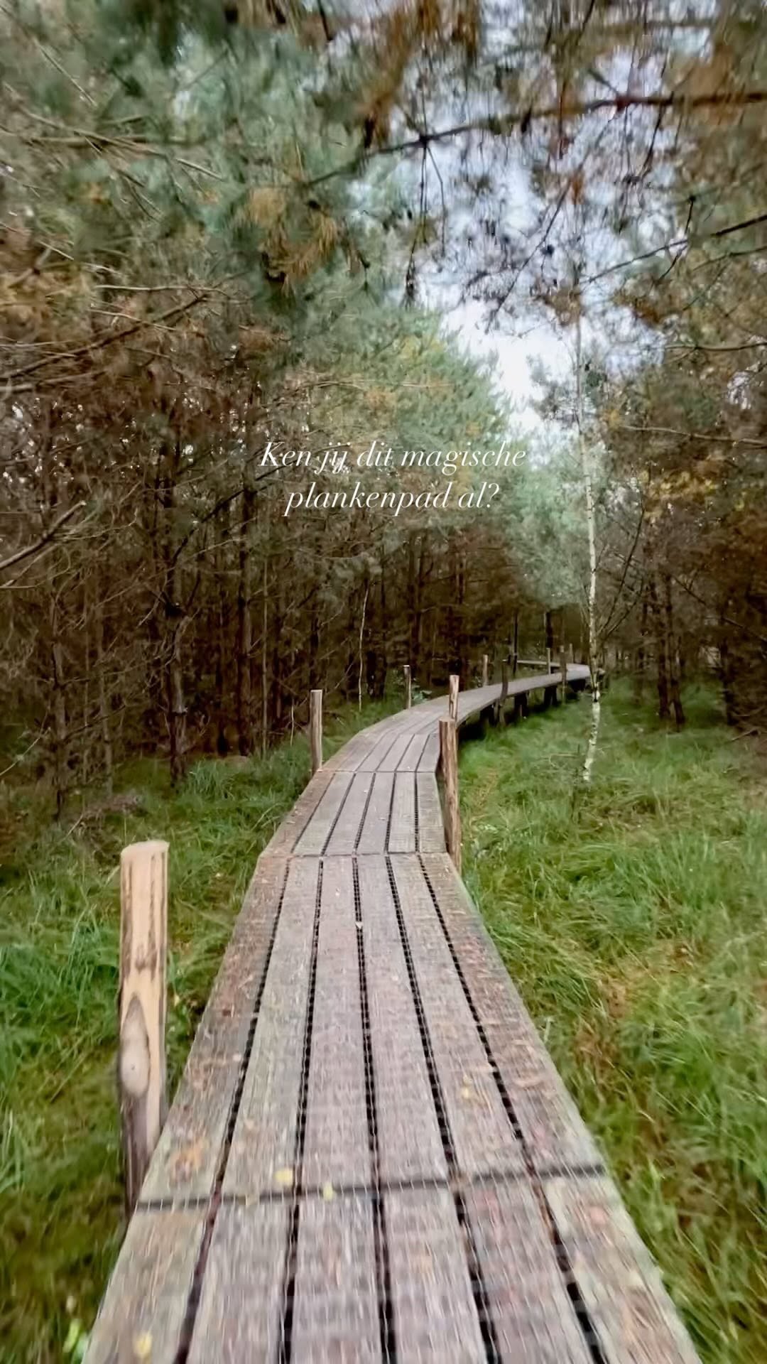 Dwingelderveld National Park and Surrounding Attractions