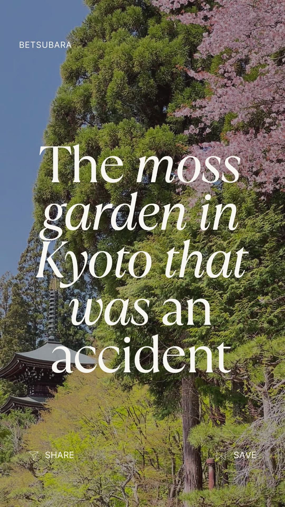 Zen Gardens Showcase Japanese Landscape Design