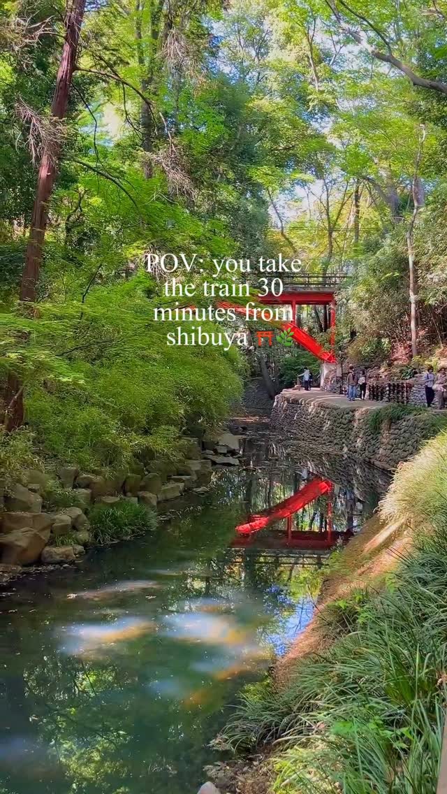 Tokyo's Only Valley Offers Natural Escape