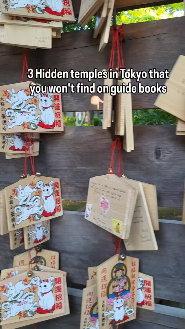 Tokyo's Hidden Temples and Nature Spots