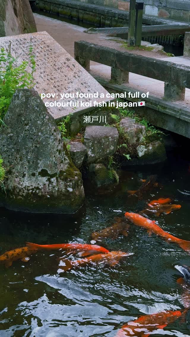3 Places in Hida