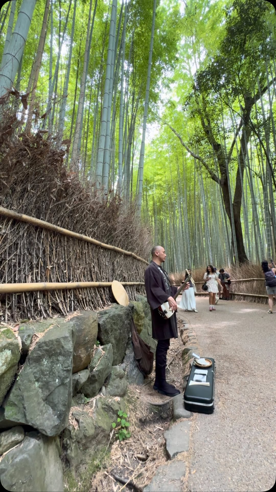 Arashiyama Bamboo Forest Exploration