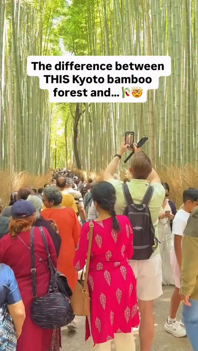 Kyoto's Bamboo Forests: Arashiyama and Adashino